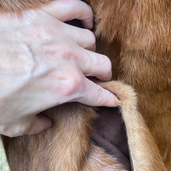 Mink Fur Coat - Picture 2 of 12